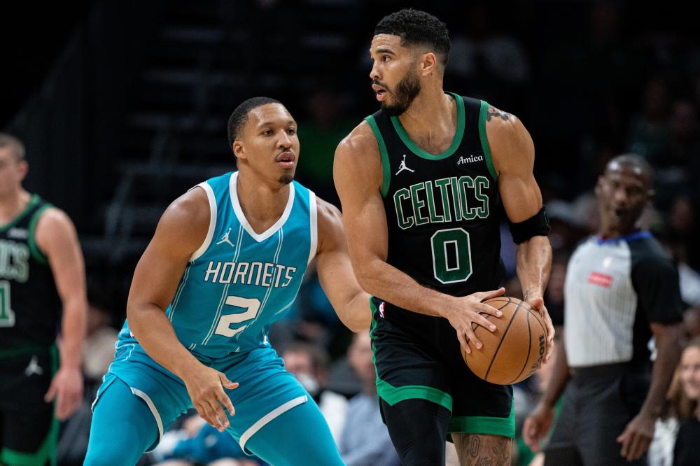 森林狼的年 森林狼的年